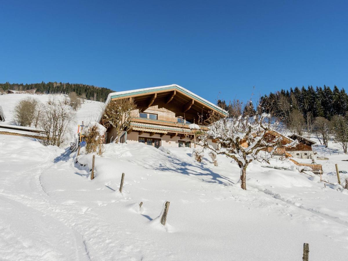 Apartment Near The Ski Area Saalbach-Hinterglemm Extérieur photo